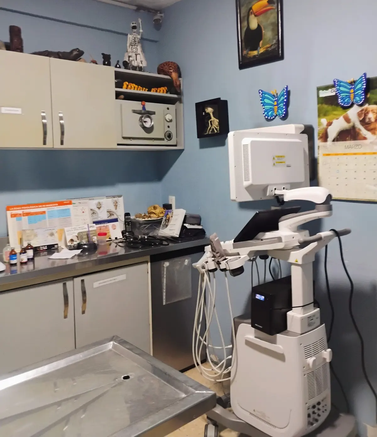 Clinica Veterinaria Tucan