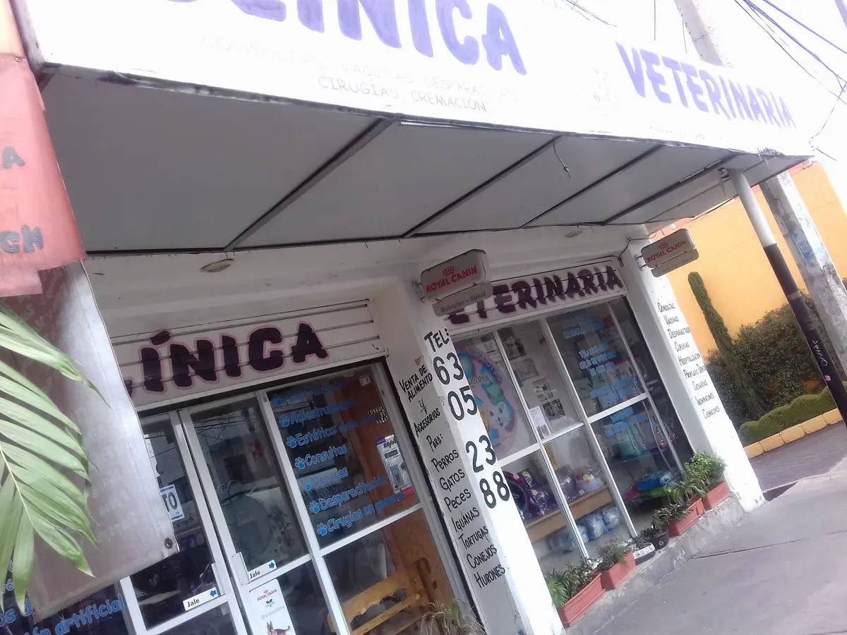 El Mundo De Las Mascotas — foto 2 de 3