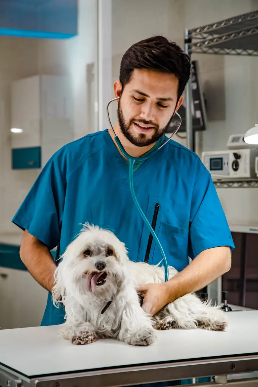 ESPECIALIDADES VETERINARIAS