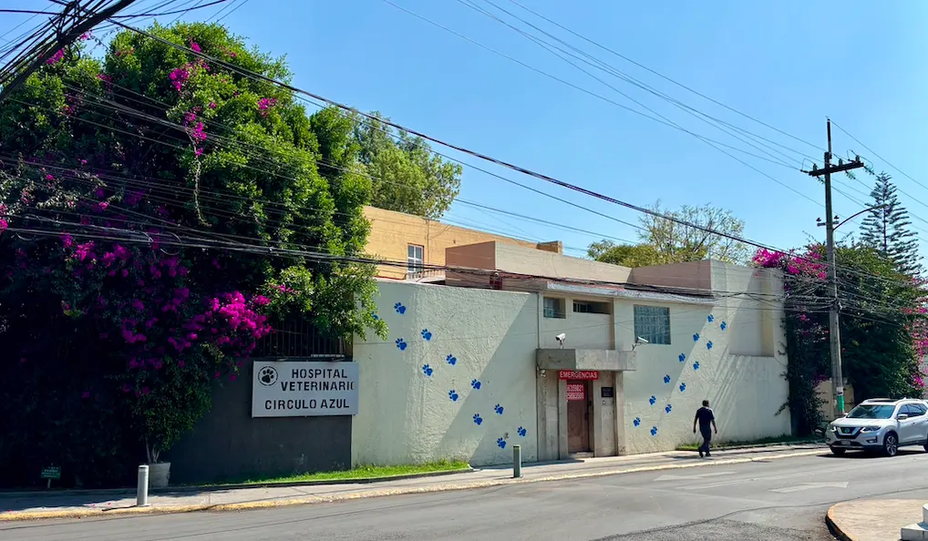 Hospital veterinario Círculo Azul — foto 2 de 3
