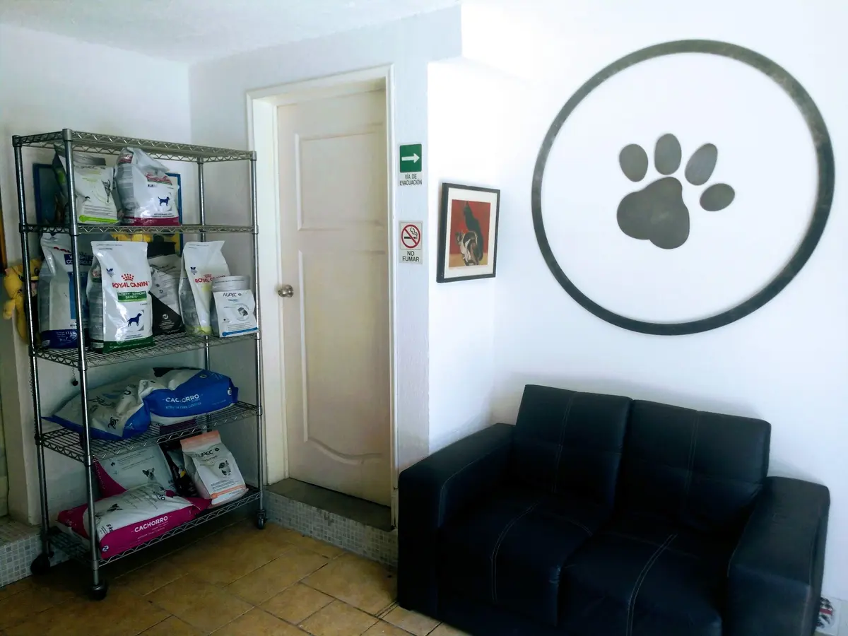 Hospital veterinario Círculo Azul