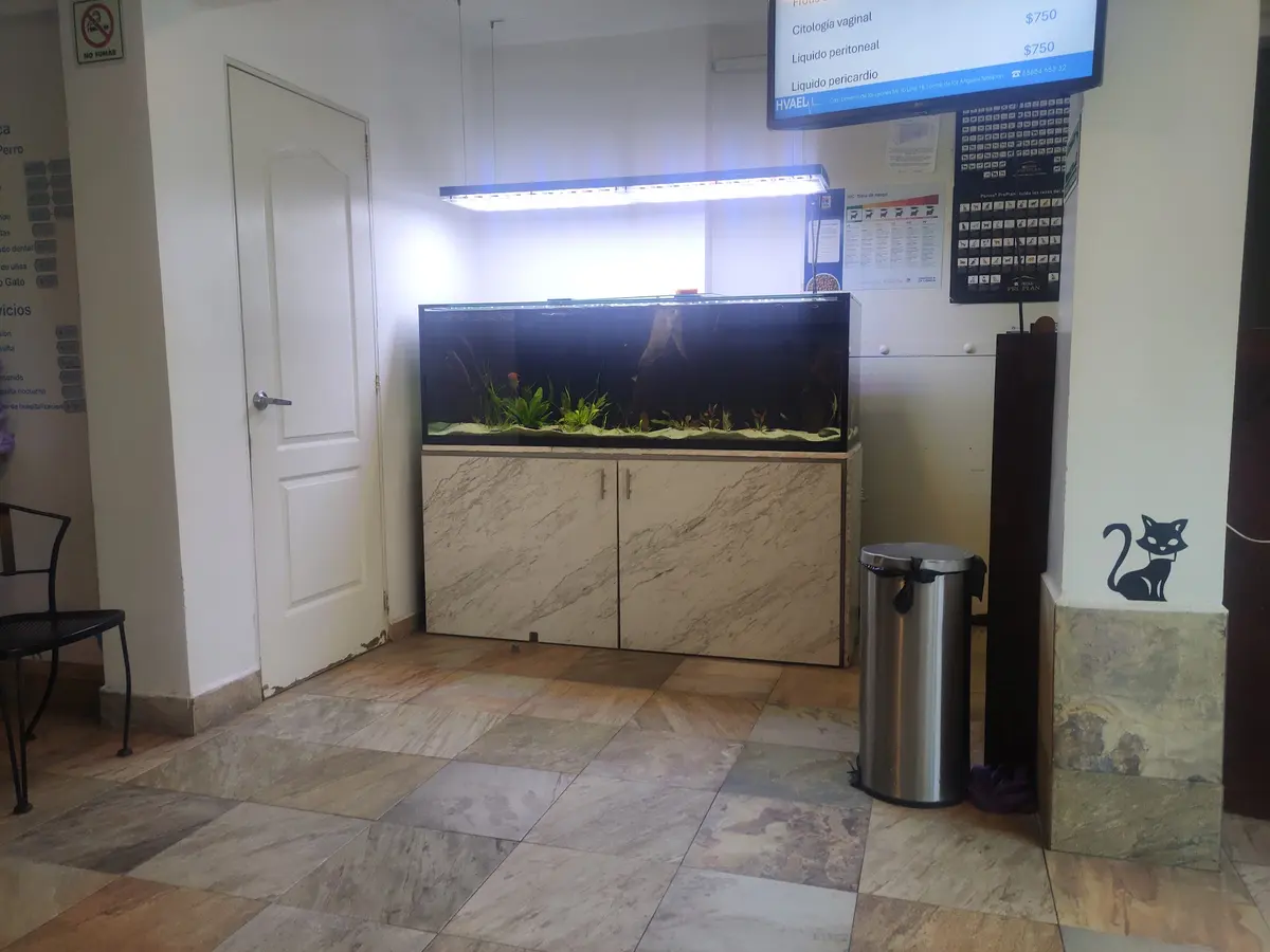 Hospital Veterinario de Alta Especialidad — foto 3 de 3
