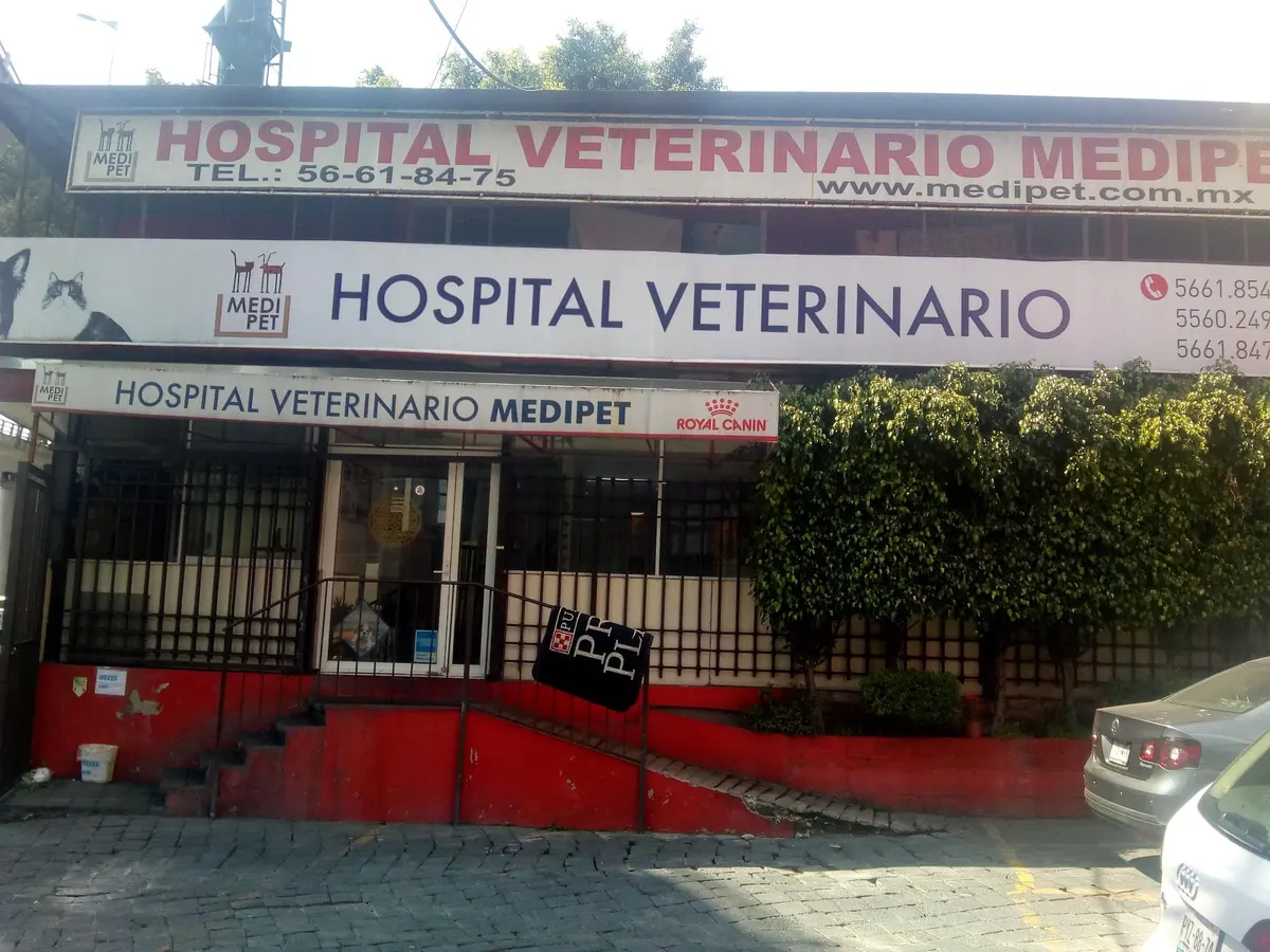 Hospital Veterinario MediPet — foto 2 de 3