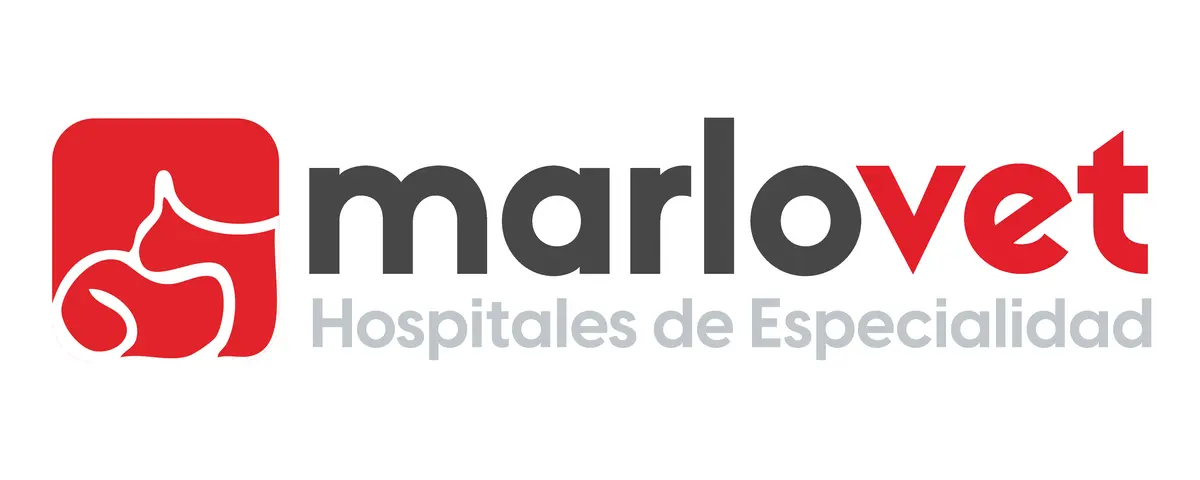 Marlovet Gatos Hospital Veterinario