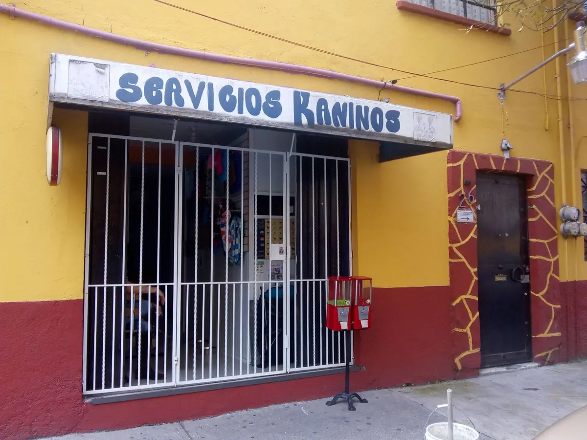 Veterinaria Servicios Kaninos