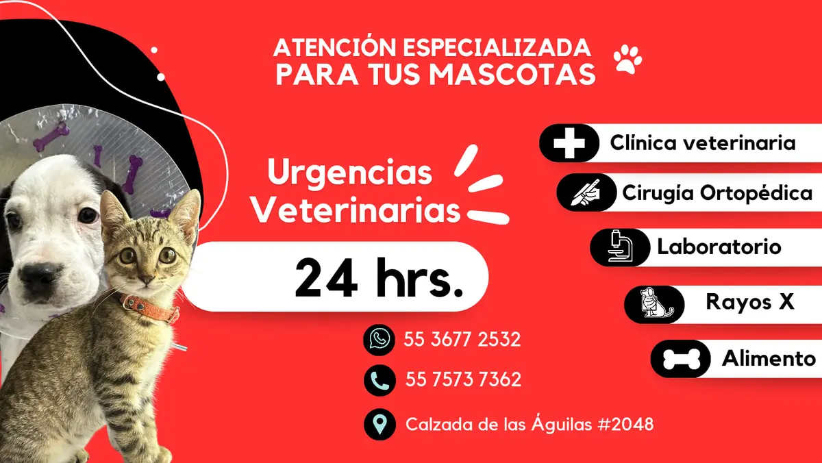 VIP - VET