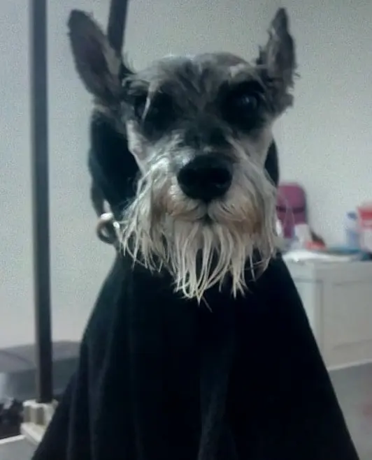 Centro Veterinario Reynosa