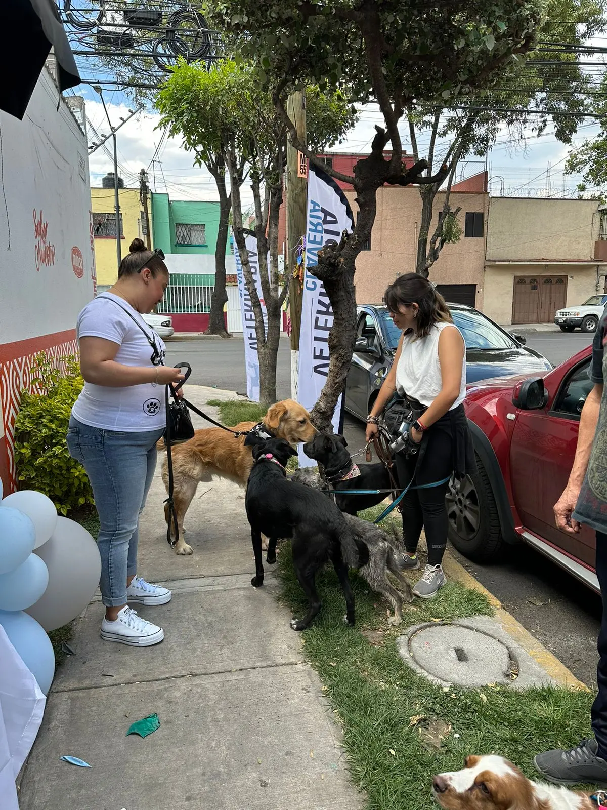 Clínica Veterinaria Clavería — foto 3 de 3