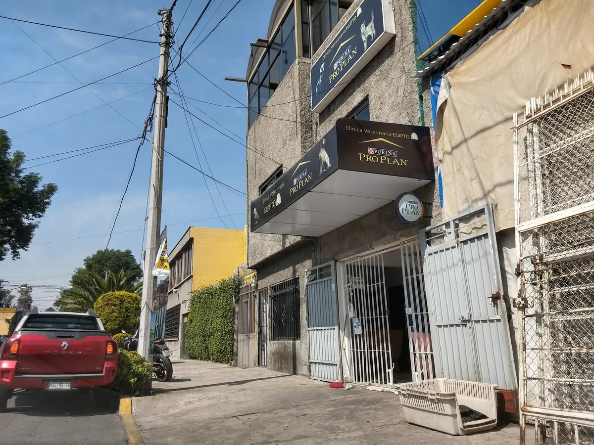 CLÍNICA VETERINARIA EGIPTO — foto 3 de 3
