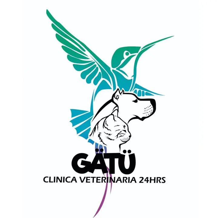 Clinica Veterinaria Gätü 24 Horas