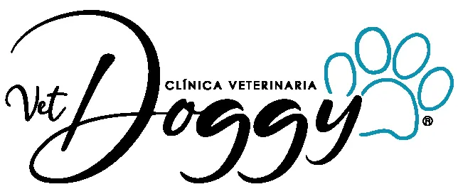 Veterinaria VetDoggy