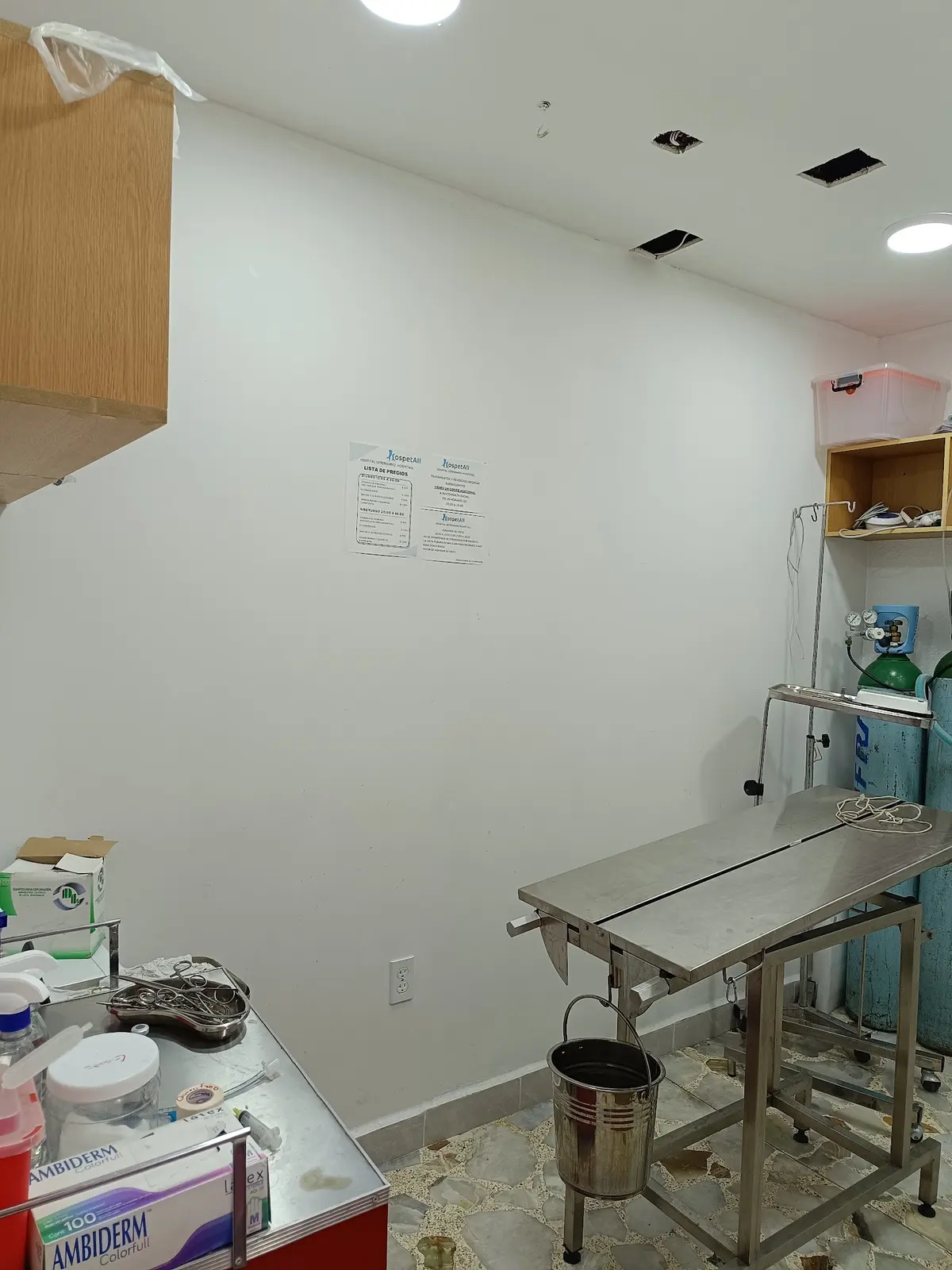 Hospital Veterinario Hospetall Azcapotzalco