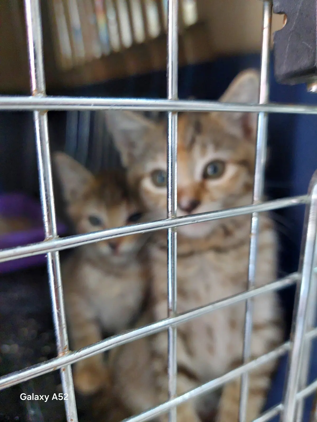 Rancho Don Manuel Animal Health Care