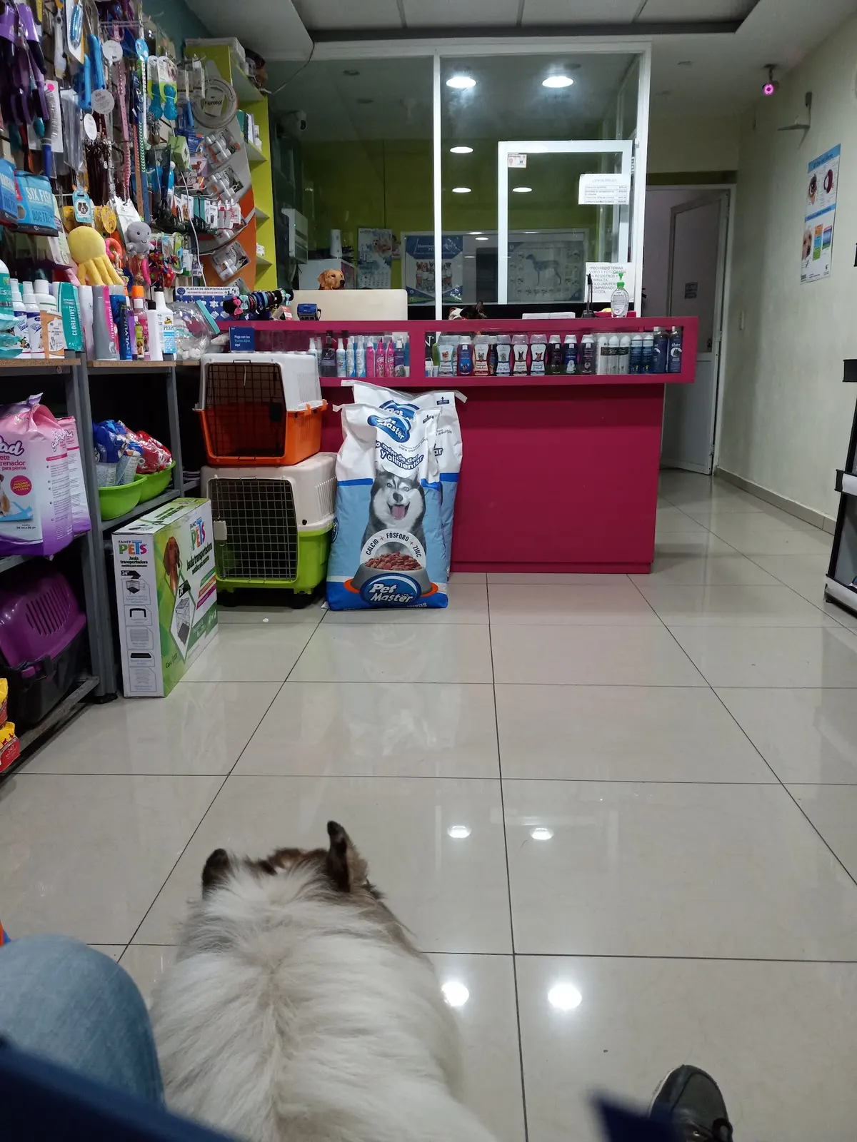 Veterinaria Animalista — foto 3 de 3