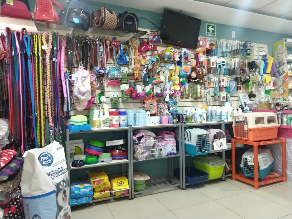 Veterinaria Animalista
