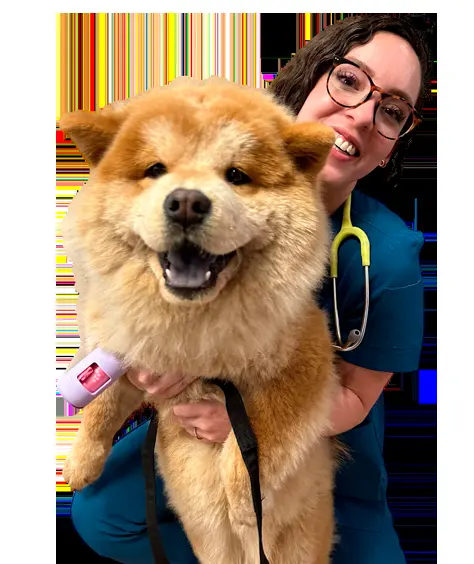 Centro Veterinario México Urgencias