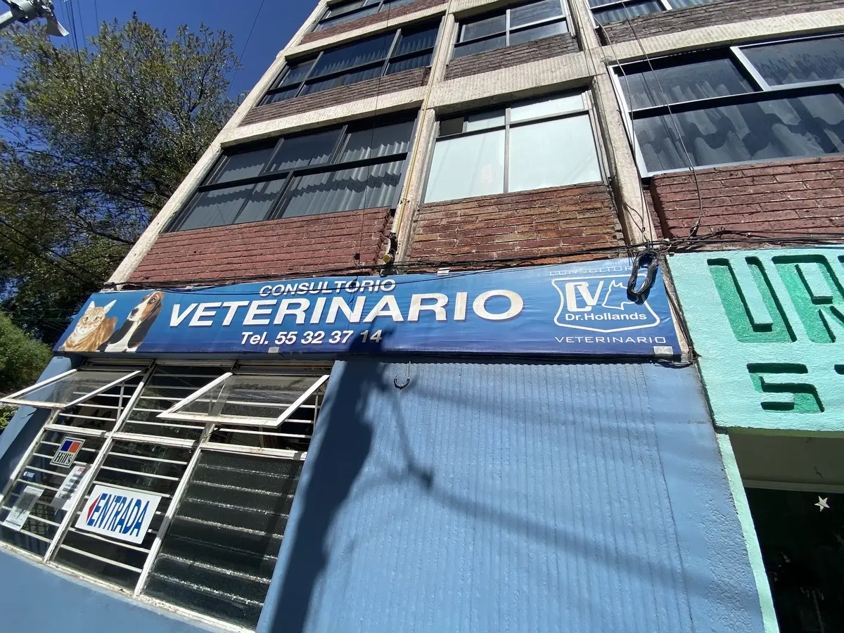 Consultorio Veterinario Dr. Hollands — foto 3 de 3