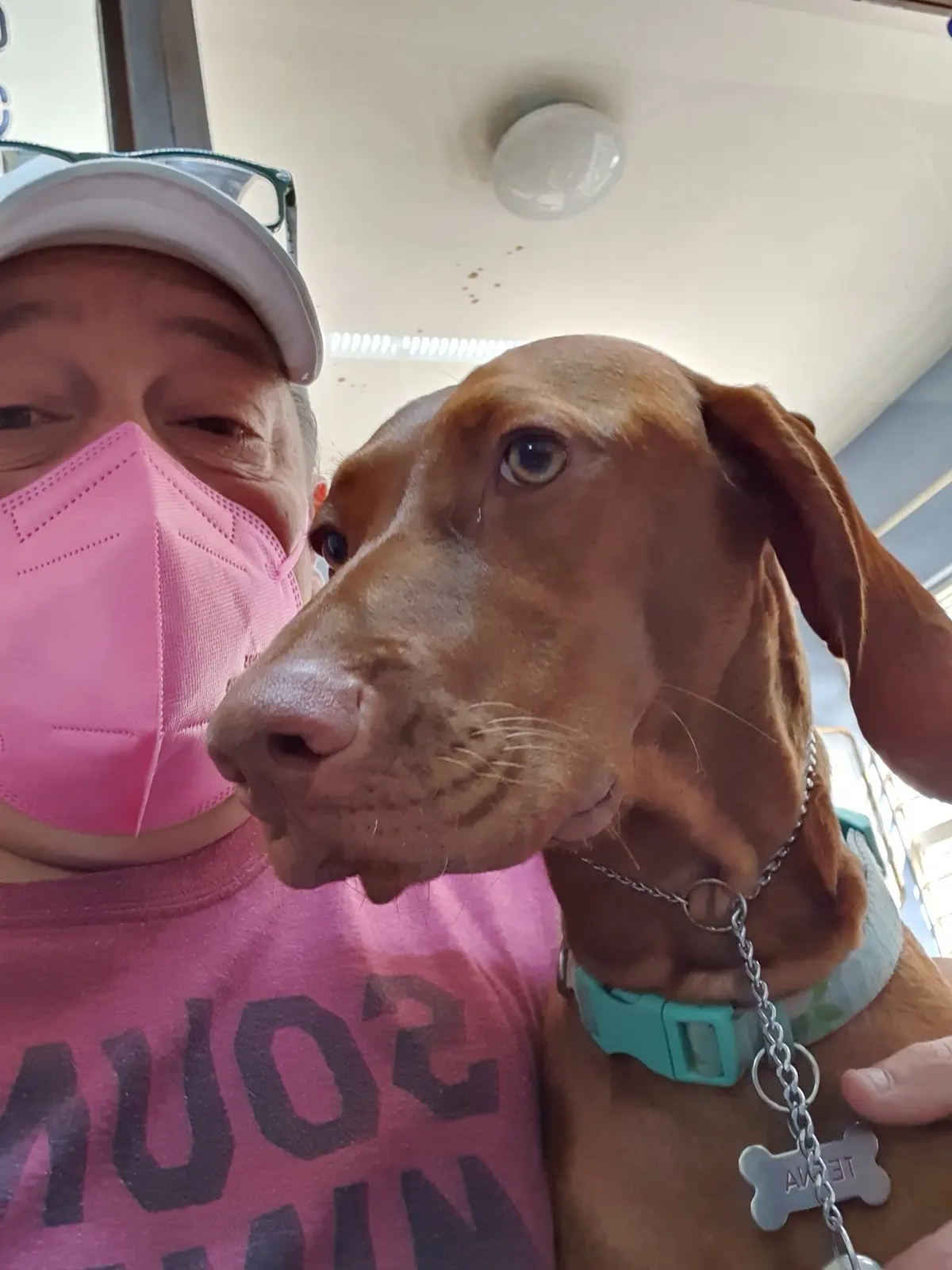 Consultorio Veterinario Dr. Hollands