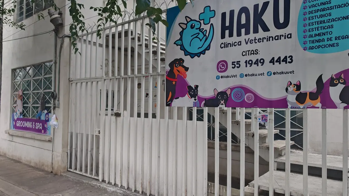 Haku Clínica Veterinaria — foto 2 de 3