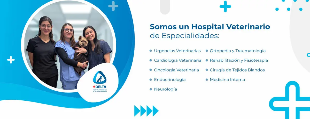 Hospital Veterinario Delta
