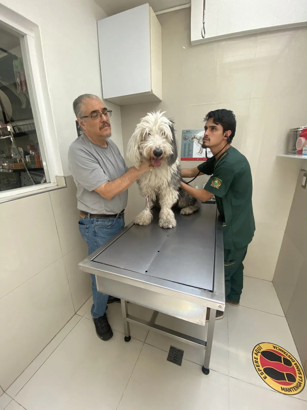 Hospital Veterinario Dog Life
