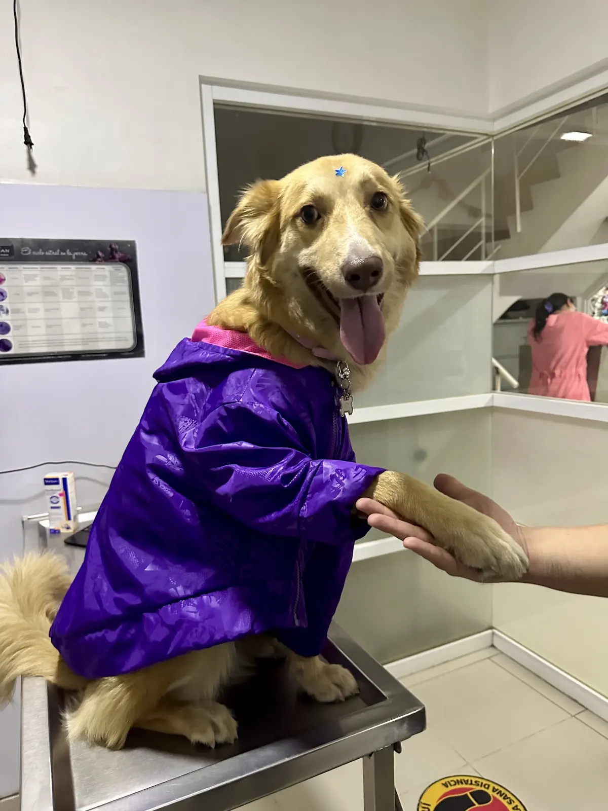 Hospital Veterinario Dog Life — foto 3 de 3