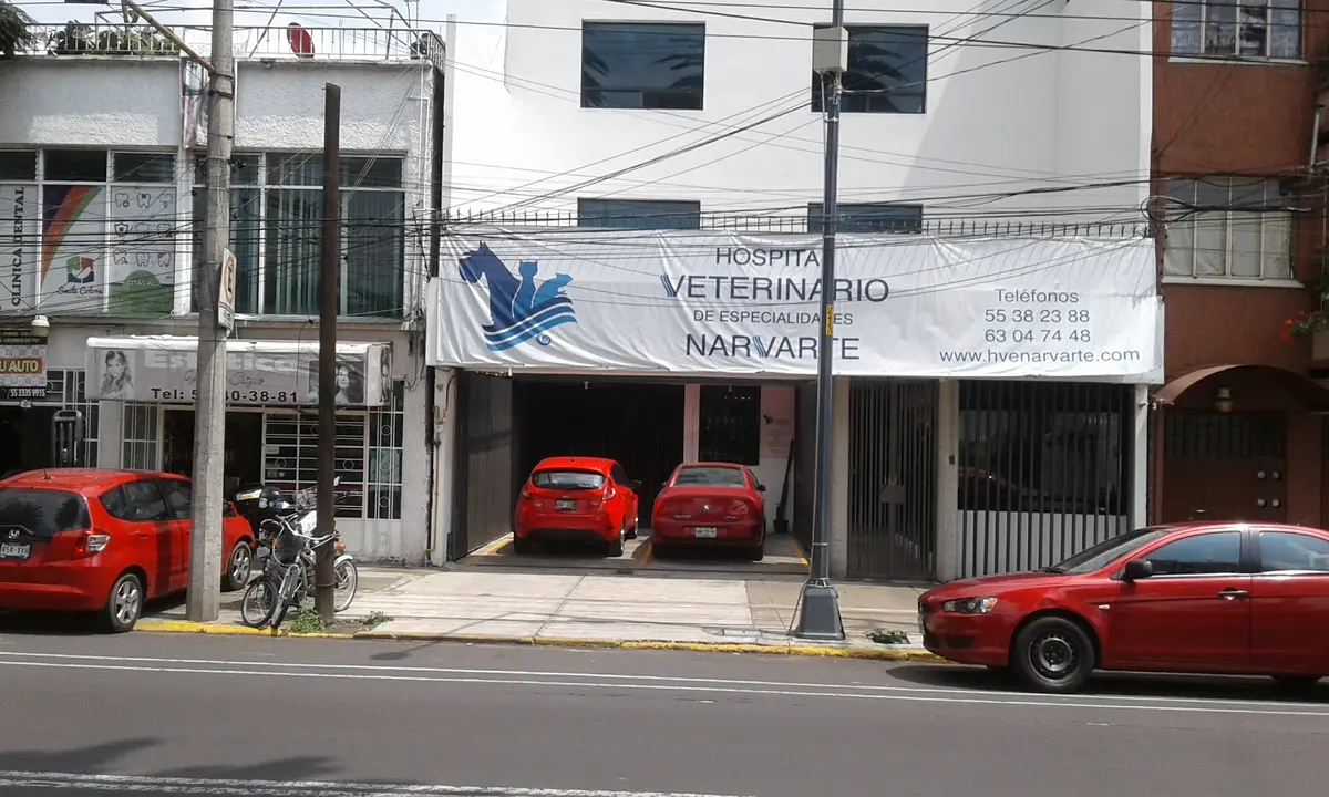 Hospital Veterinario Narvarte — foto 3 de 3