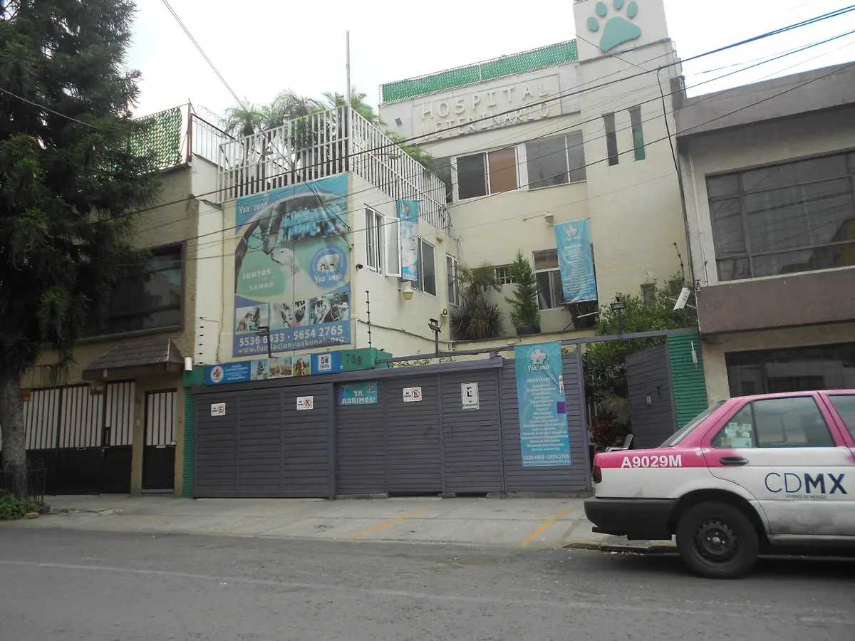 Hospital Veterinario Yaakunah — foto 3 de 3