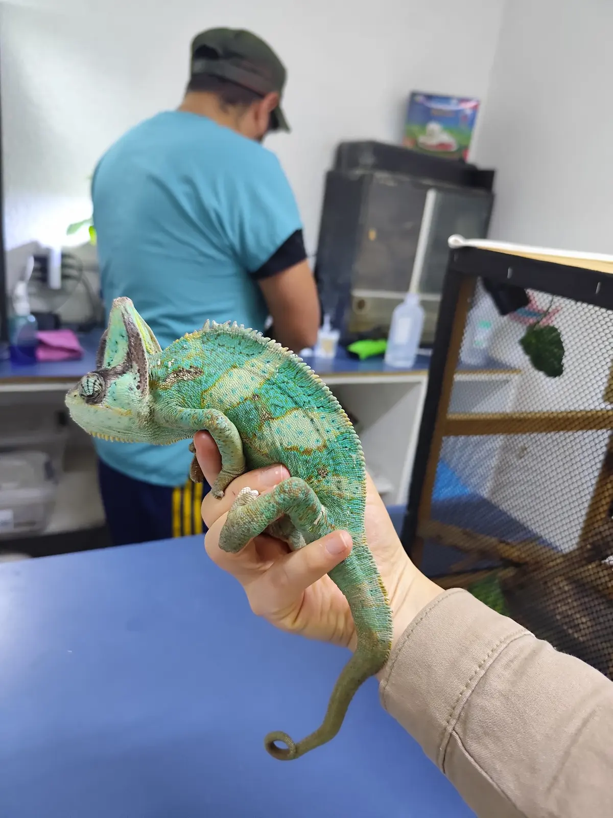 Och-Kan Servicios Veterinarios — foto 3 de 3