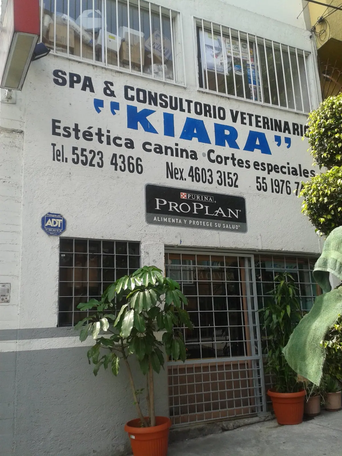 Spa & Consultorio Veterinario Kiara — foto 3 de 3
