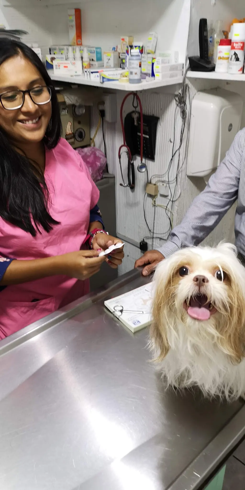 Spa & Consultorio Veterinario Kiara — foto 2 de 3