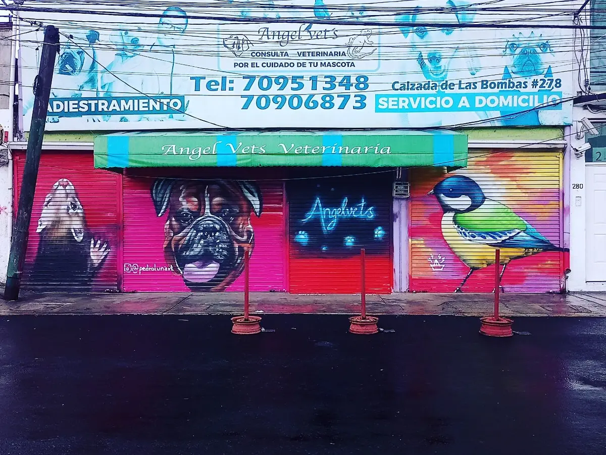 Ángel Vet´s Pet Hospital Coapa