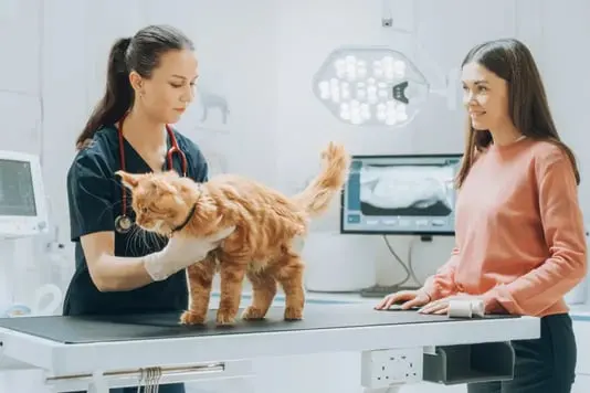 Banfield Pet Hospital | Hospital Veterinario 24 Horas — foto 4 de 4