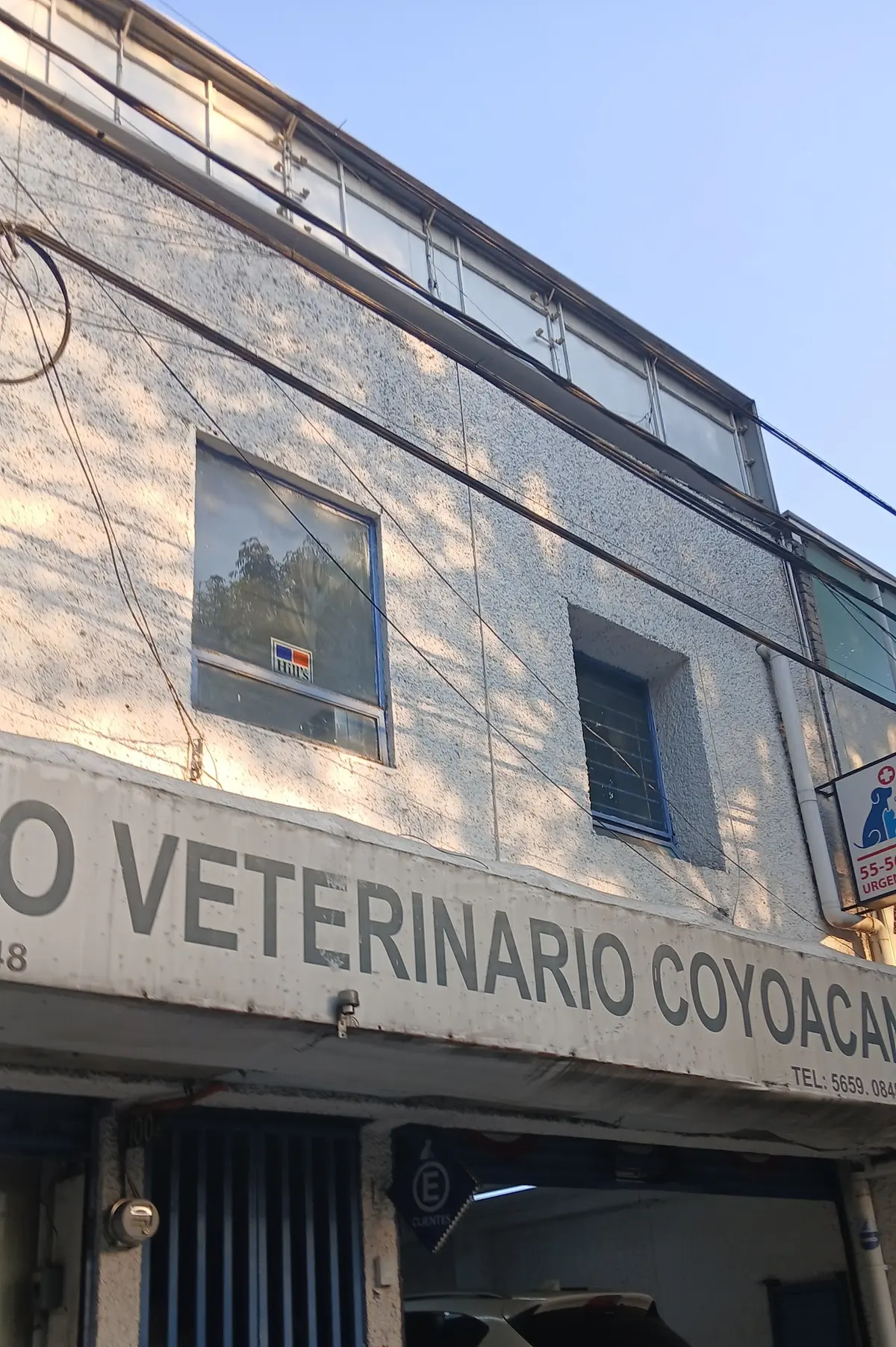 Centro Veterinario Coyoacán — foto 3 de 3