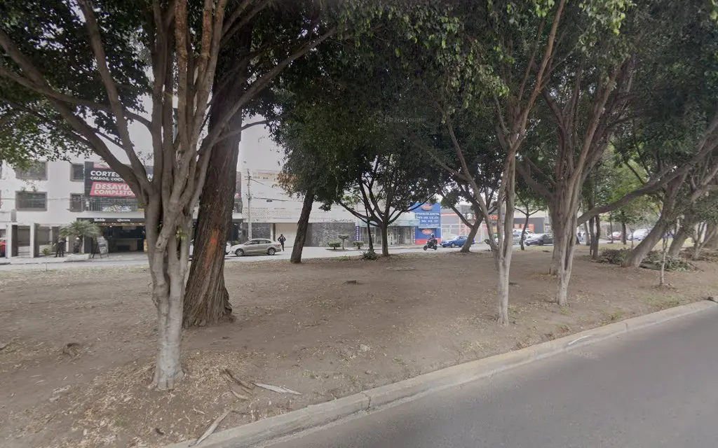 Centro Veterinario del Sur