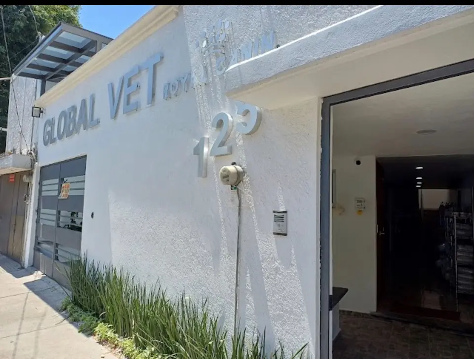 Centro Veterinario GlobalVet