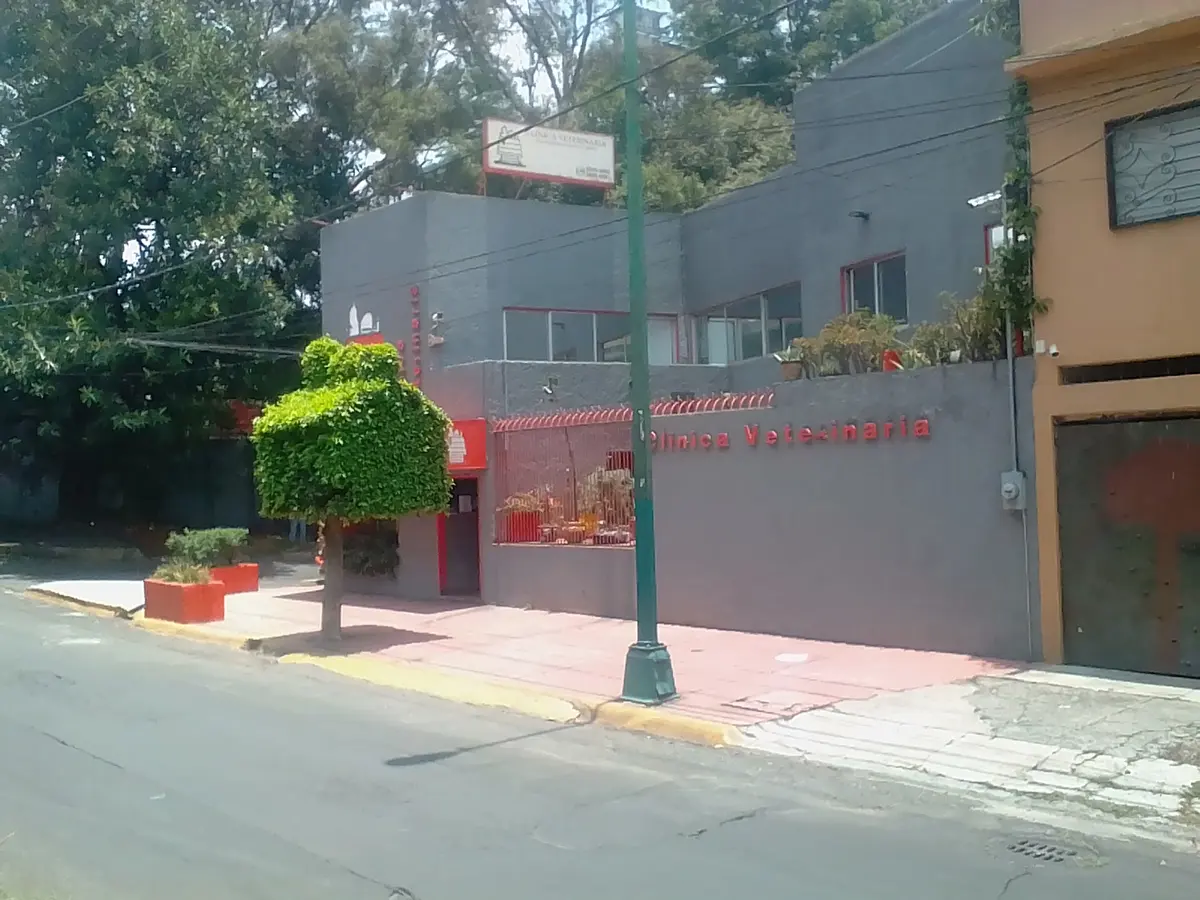 Clinica Veterinaria