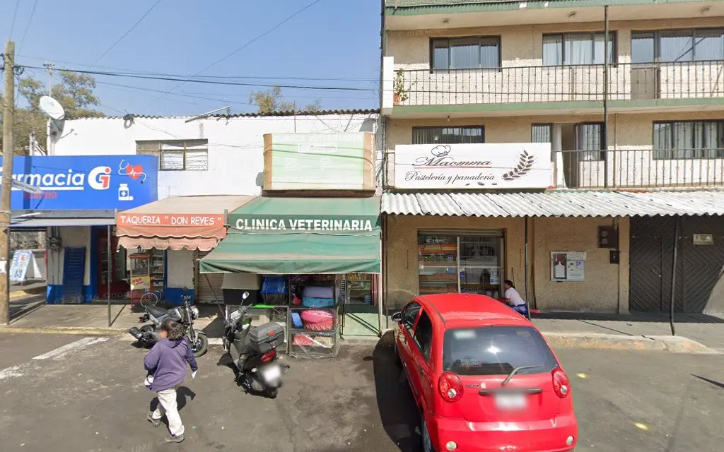 CLÍNICA VETERINARIA AMROTH