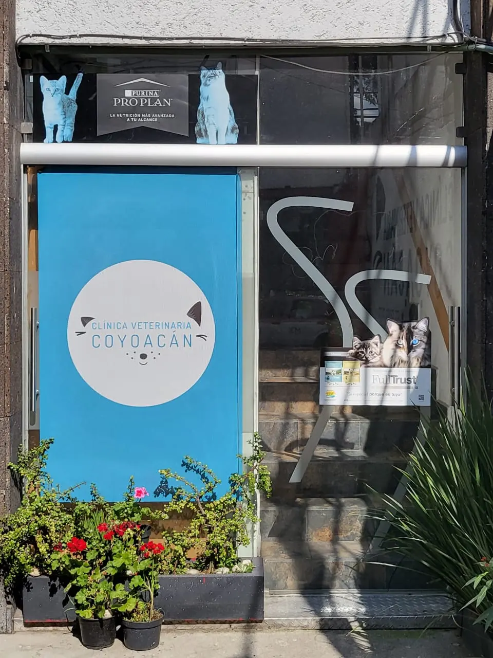 Clínica Veterinaria Coyoacán