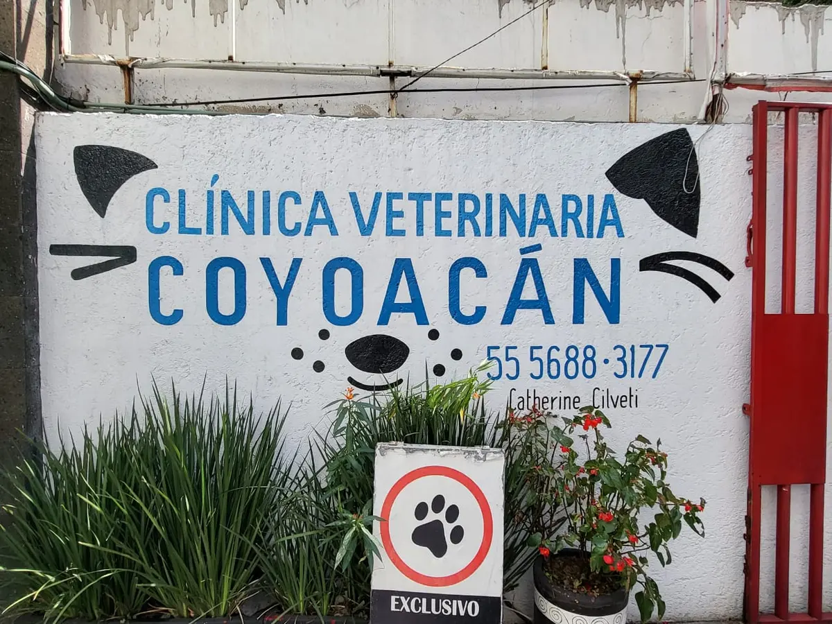Clínica Veterinaria Coyoacán — foto 2 de 3