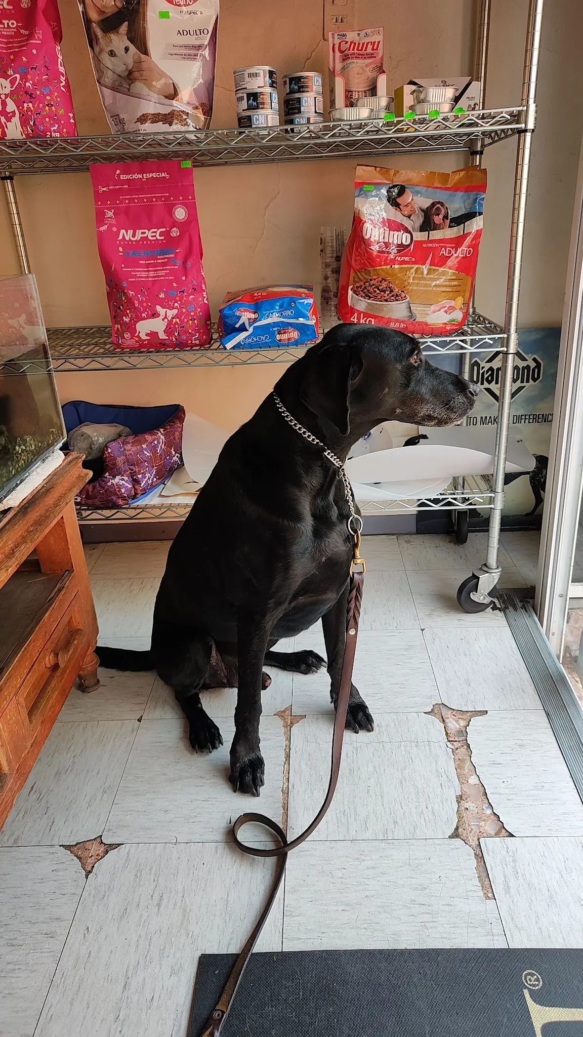 Clínica Veterinaria del Sur — foto 2 de 3