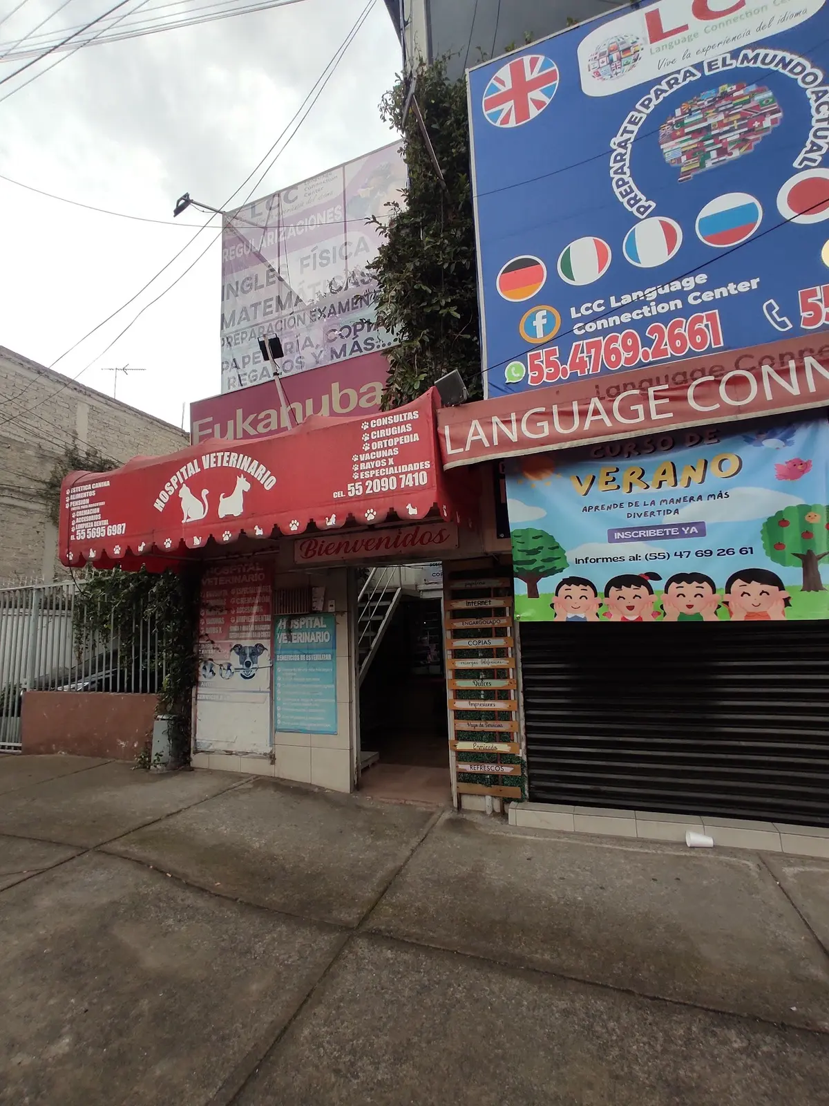 Hospital Veterinario del Sur — foto 3 de 3