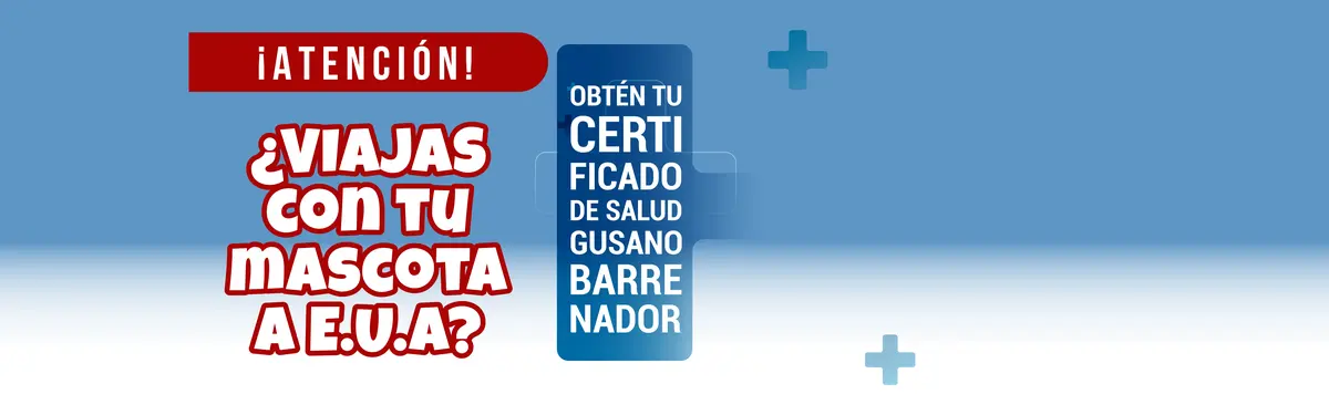 Hospital Veterinario Palo Verde