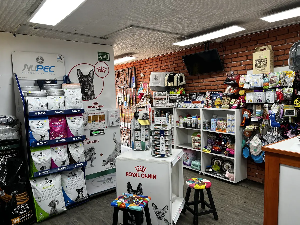 Veterinaria en Coyoacan El Señor y la Señora Xolotl