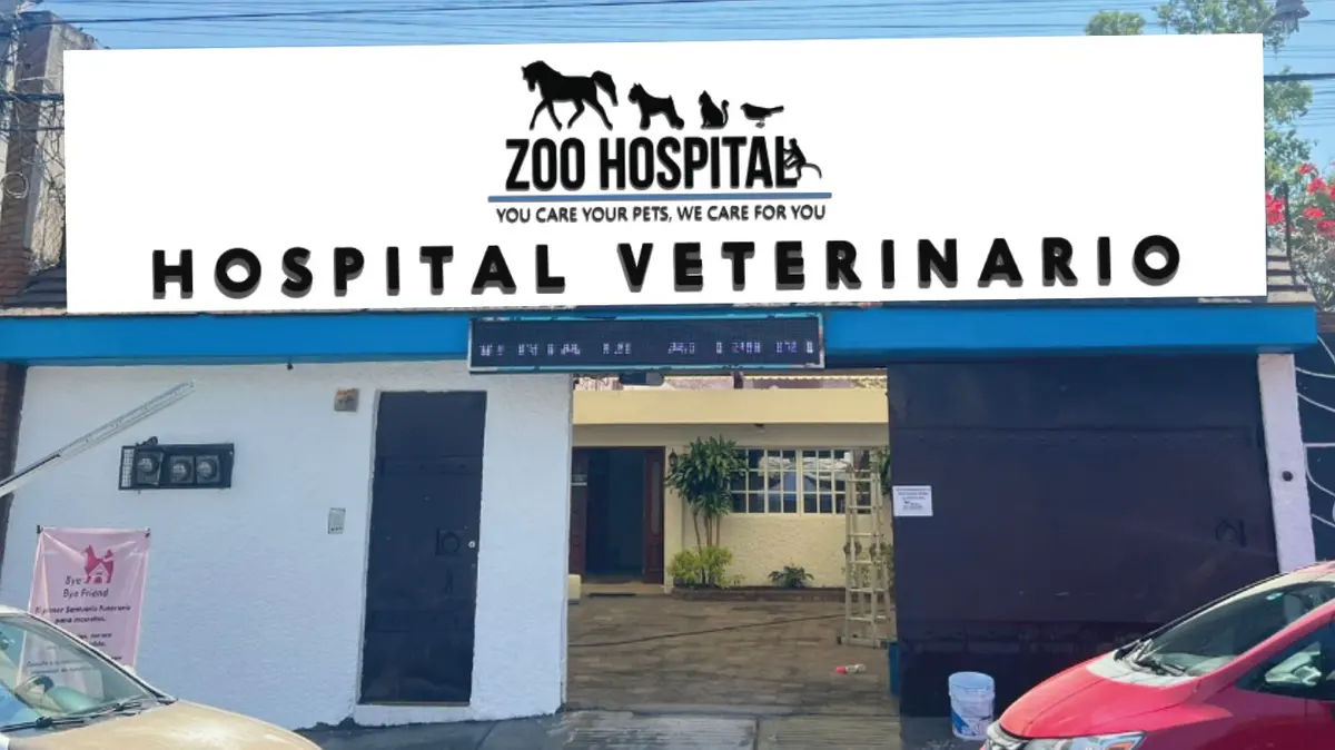 Veterinaria Zoo Hospital