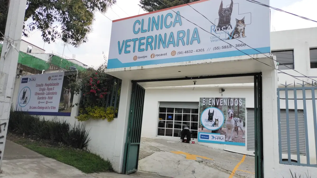 Clínica veterinaria Roca Vet