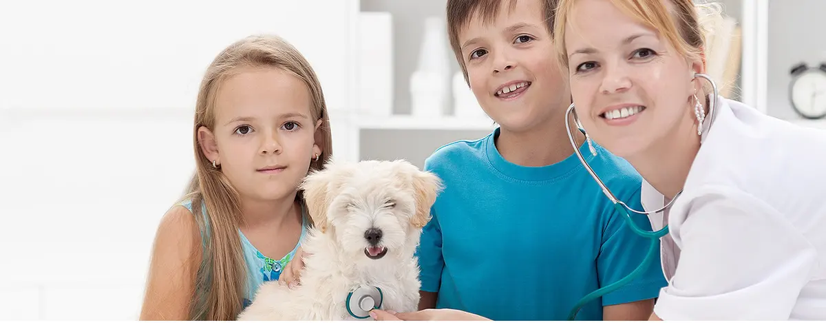 Hospetal Veterinario