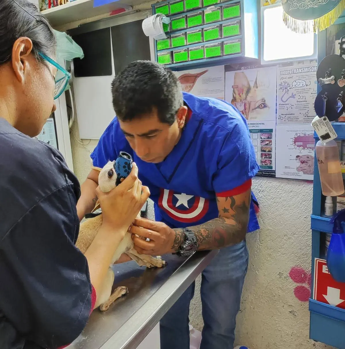 Acuamas Pet Shop, Veterinaria y Estética Canina