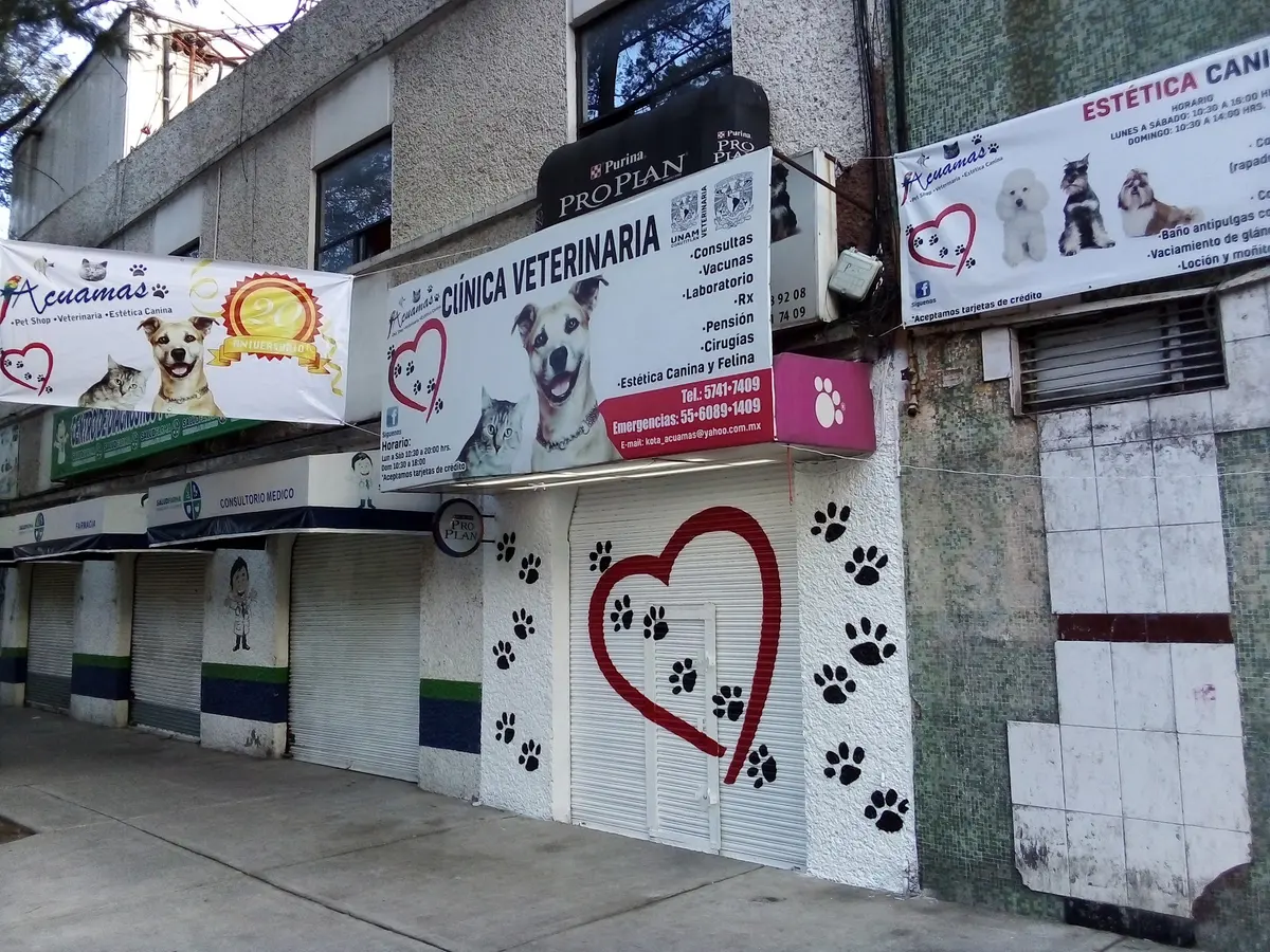 Acuamas Pet Shop, Veterinaria y Estética Canina — foto 3 de 3