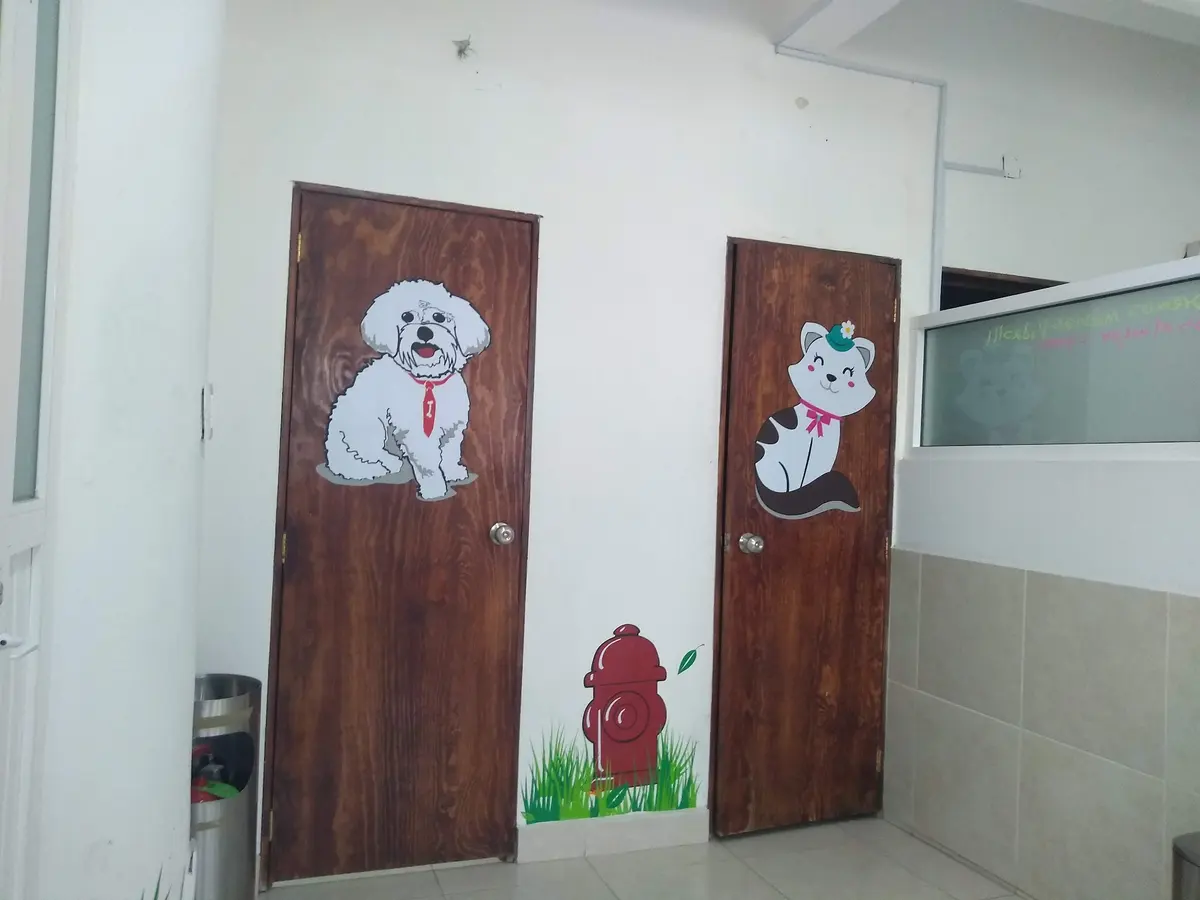 Cambia un destino Hospital de animales — foto 3 de 3
